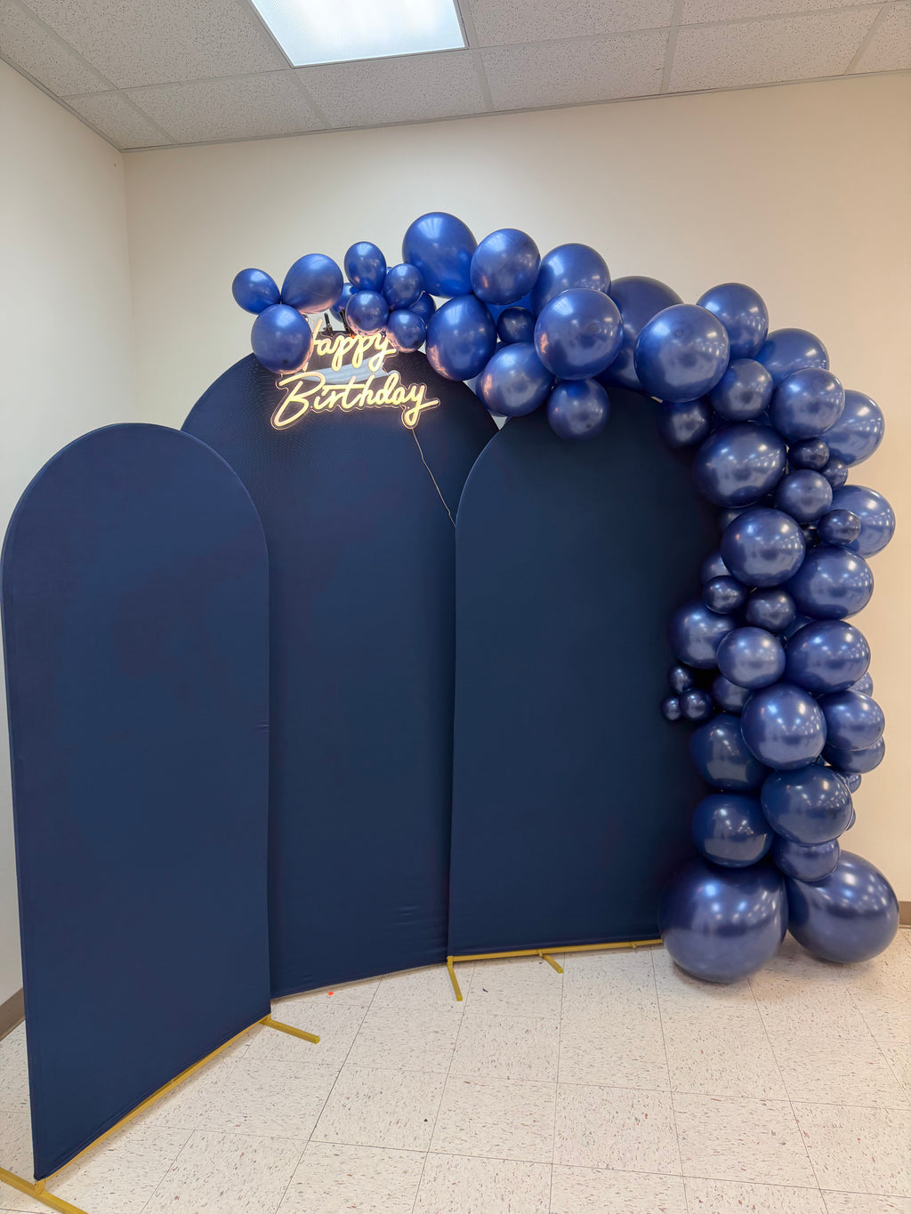 Party Plug Special